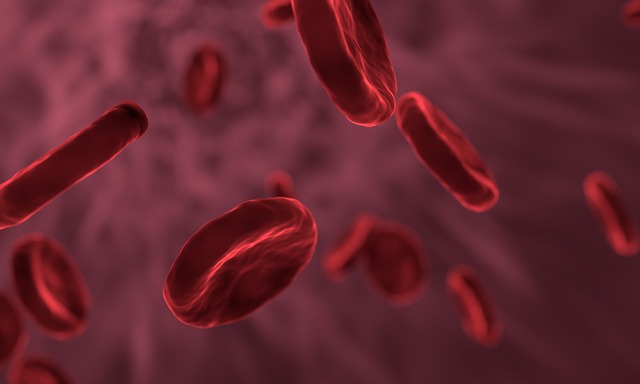 Menstruační kalíšek
